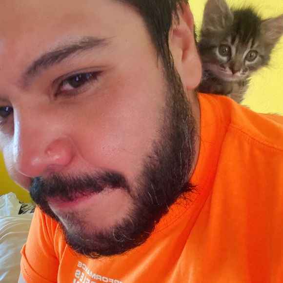 Meet your Posher, Hector - Picture 1 of 1